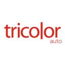 Tricolor Auto Group company logo