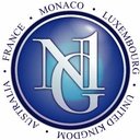 N1G MFO company logo