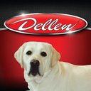 Dellen Automotive Family company logo