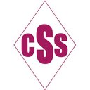 City Security Services company logo