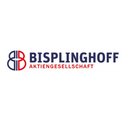 Bisplinghoff AG company logo