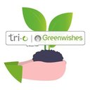 Greenwishes company logo