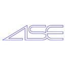 株式会社　エース・システム・エンジニアリング company logo