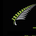 Silver Lining Landscaping company logo