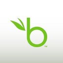 BambooHR company logo