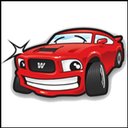 Wiggy Wash Car Wash company logo