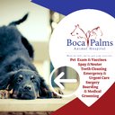 Boca Palms Animal Hospital company logo
