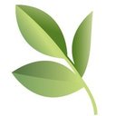 Pierce Washington company logo