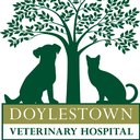Doylestown Veterinary Hospital company logo