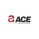 ACE GROUP OF COMPANIES company logo