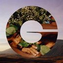 Givaudan company logo