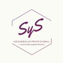Desarrollo Profesional SyS company logo