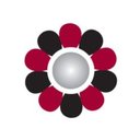 WysePower company logo