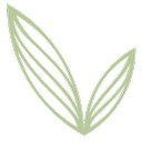 Groupe Vitae company logo