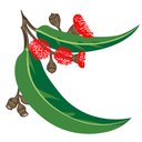 Downes Wholesale Nursery company logo