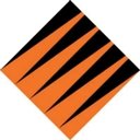 Tigerteam company logo