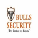 Bulls Security Inc company logo