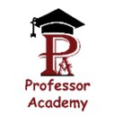 Professor Academy - Edutech company logo