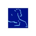 Van Hengstum company logo