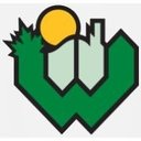 City of Woodstock company logo