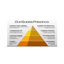 WYZMINDZ Solutions Private Limited company logo