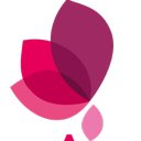 timactive company logo