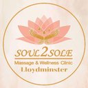 SOUL2SOLE MASSAGE &amp; WELLNESS STUDIO LTD. company logo