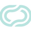 Networks Connect LLC company logo