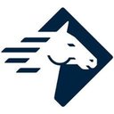 Paladin Security company logo