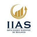 IIAS company logo