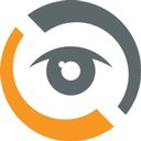 DigiStream Investigations company logo