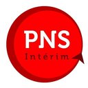 PNS company logo