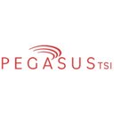 PegasusTSI company logo