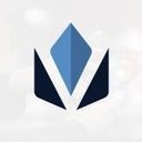 Veritran company logo