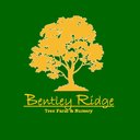 Bentley Ridge Tree Farm & Nursery company logo