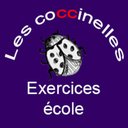 les coccinelles company logo