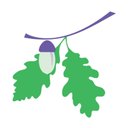 Oak Hill First School company logo