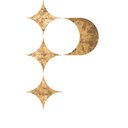 The Practice company logo