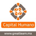 Great Team company logo