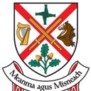 Kildare County Council company logo