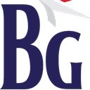 BG Consulting Services LLC. company logo