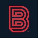 Big Visual Group company logo