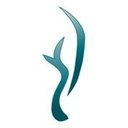 ÁlamoConsulting company logo