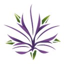 Wellsprings Health company logo
