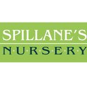 Spillane's Nursery & Landscape company logo