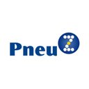 Pneu Z Centro Automotivo company logo