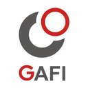 GAFI SERVICIOS SA DE CV company logo