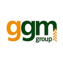 GGM Group Ltd company logo