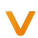 Vista IT Solutions (VITSPL) company logo