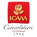 ICAM S.p.A. company logo